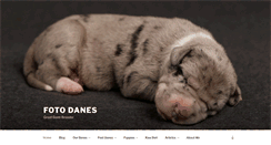 Desktop Screenshot of fotodanes.com